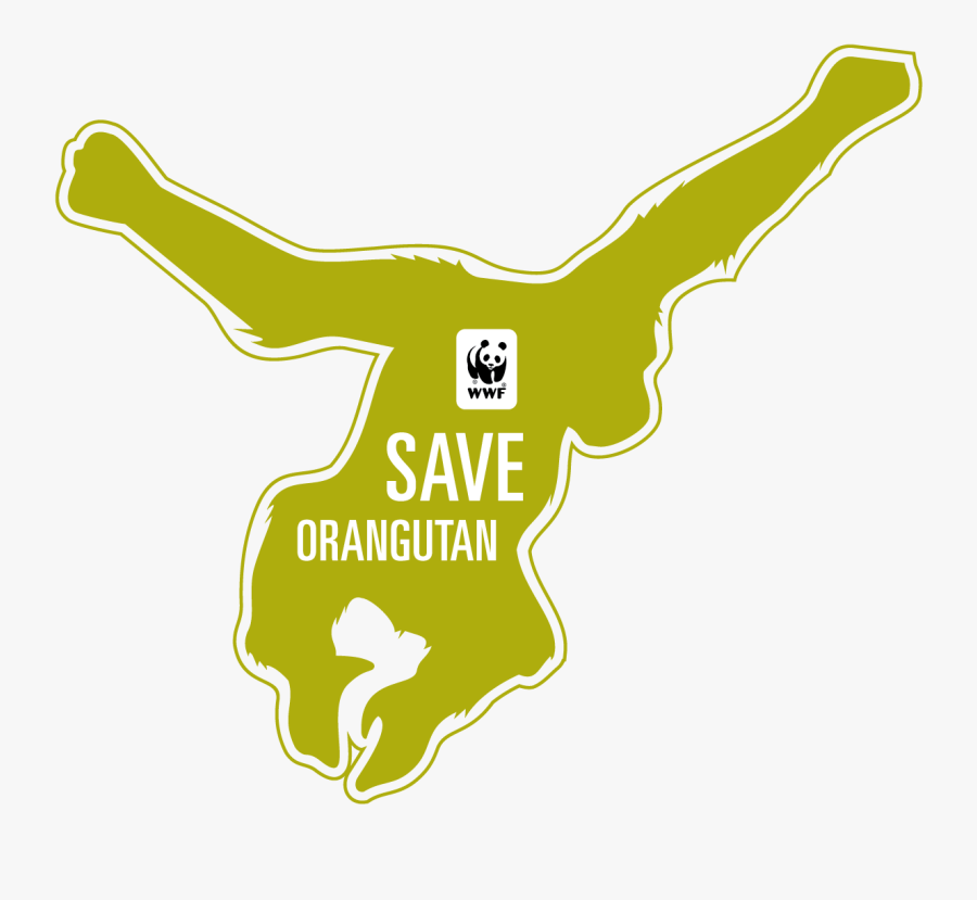 Befriending Orangutan - Wwf, Transparent Clipart