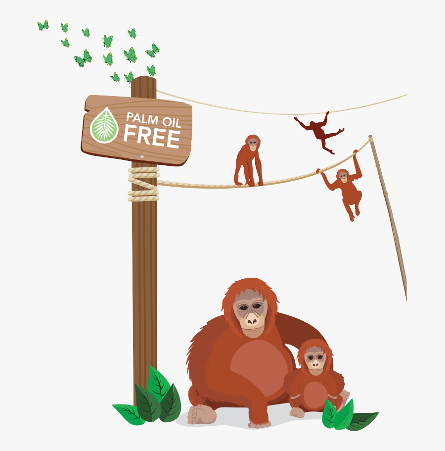 Palm Oil Orangutan Cartoon, Transparent Clipart