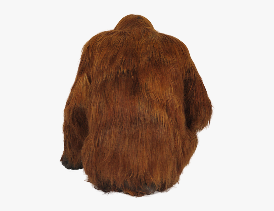 Fur Clothing, Transparent Clipart