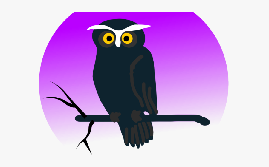 Transparent Owl Png Clipart - Night Owl Vector Png, Transparent Clipart