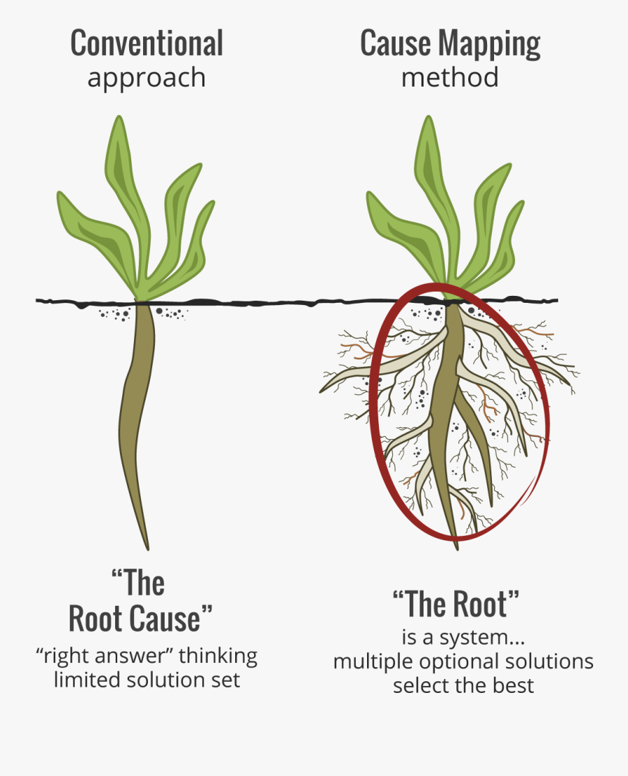 What Is Root Cause - Root Cause Analysis Meaning, Transparent Clipart