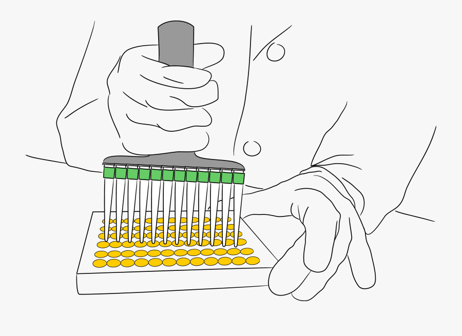 Line Art, Transparent Clipart