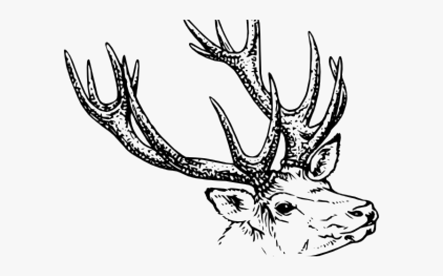 Transparent Doe Clipart - Reindeer Christmas Card Designs Template, Transparent Clipart