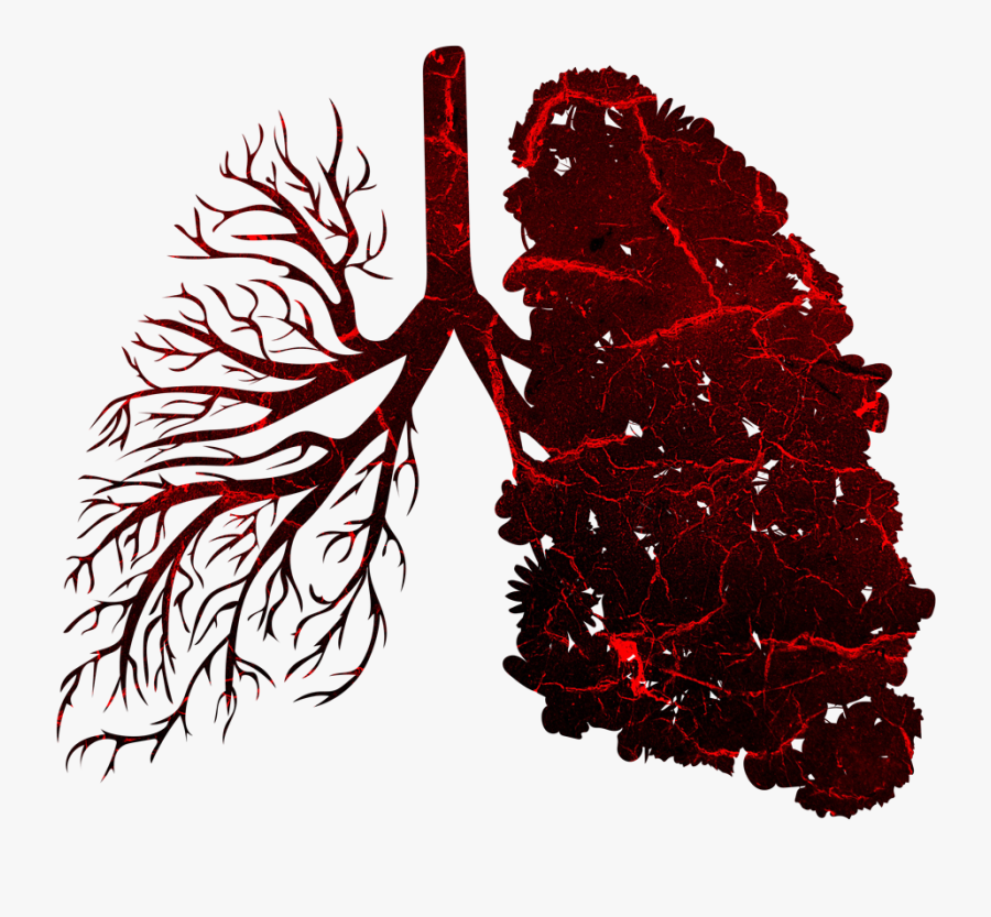 Lungs Damaged - Drug Use -, Transparent Clipart