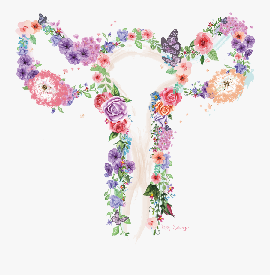 Uterus Clipart, Transparent Clipart