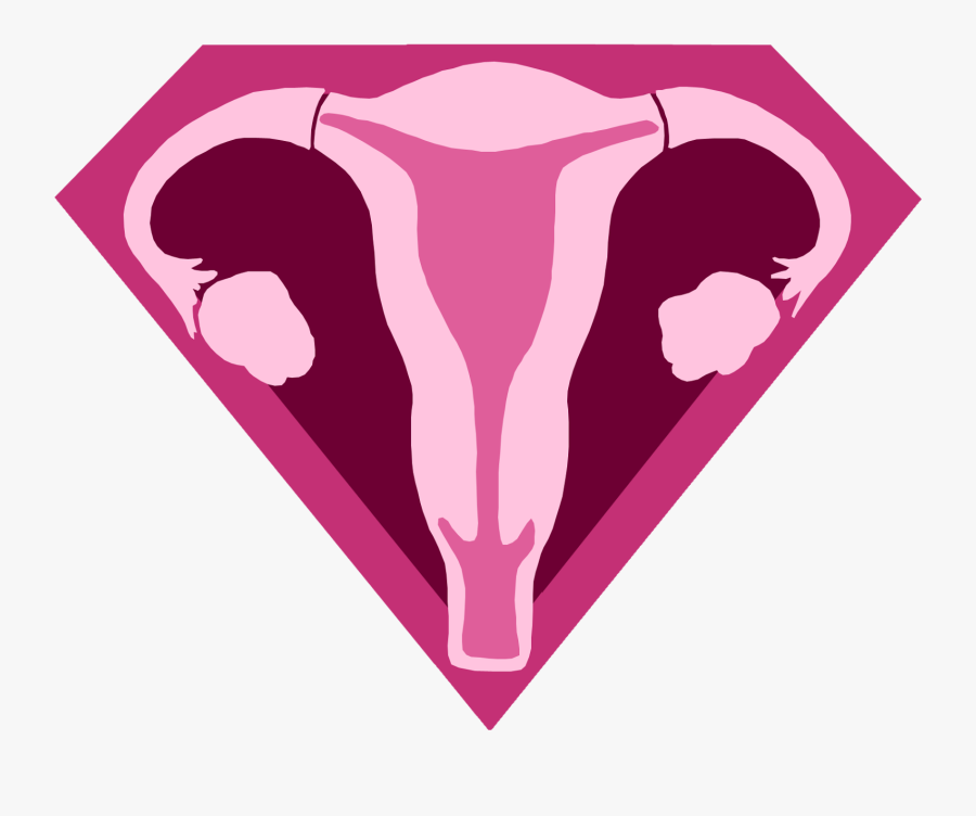 Uterus Clipart Transparent Background, Transparent Clipart