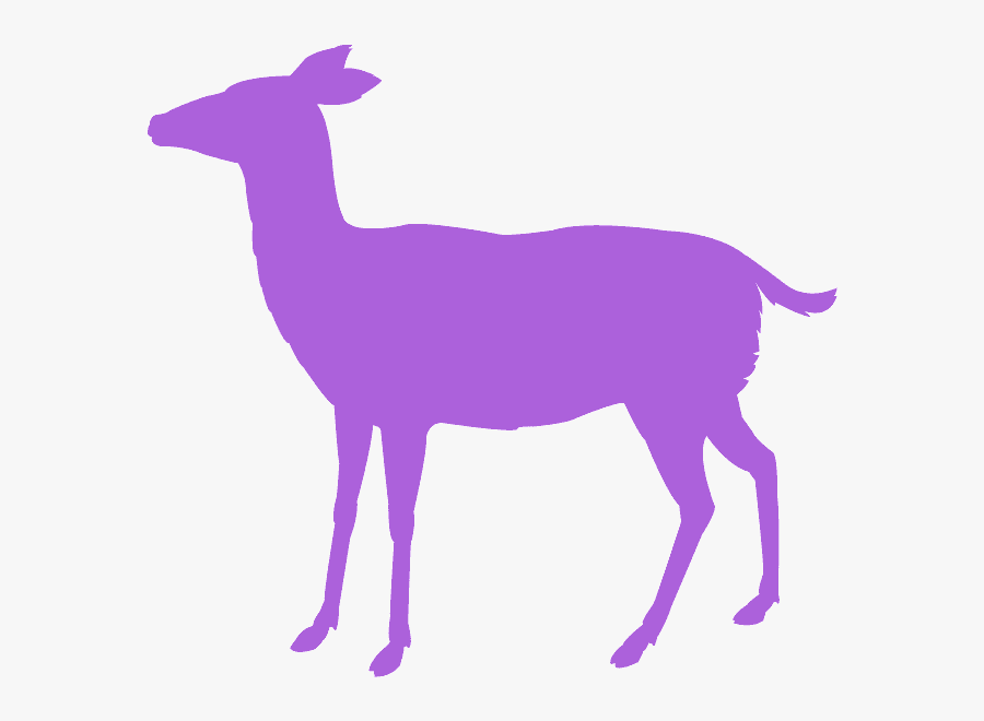 Pink Doe Silhouette, Transparent Clipart