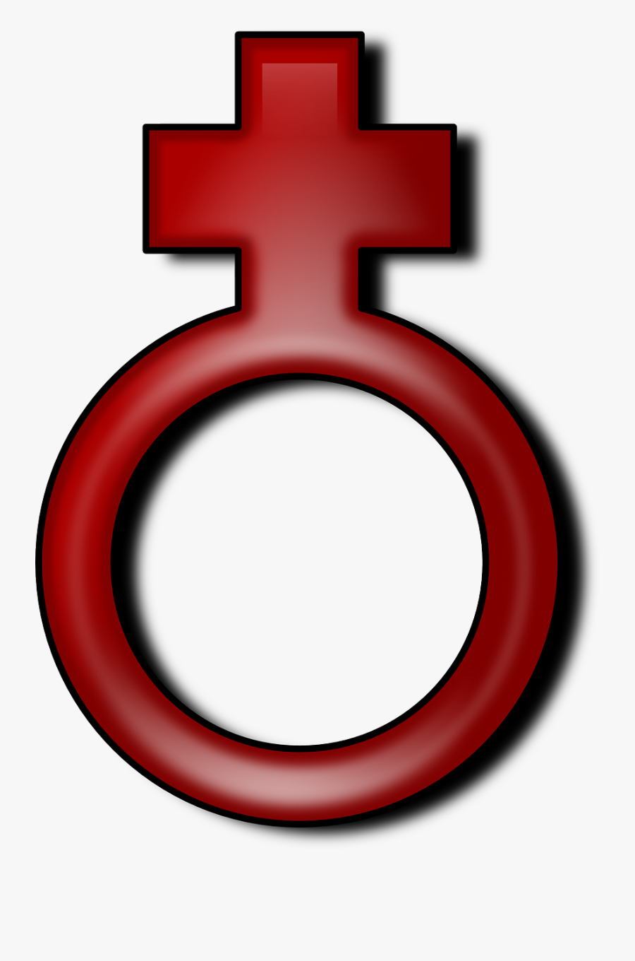 Female - เพศ หญิง ภาพ การ์ตูน, Transparent Clipart