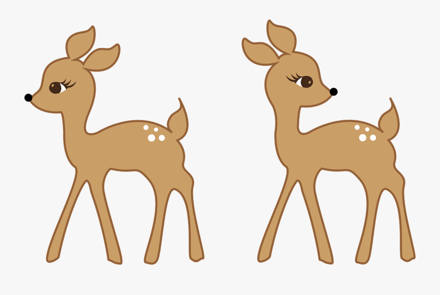 Fawn Roe Pencil And - Reh Cartoon, Transparent Clipart
