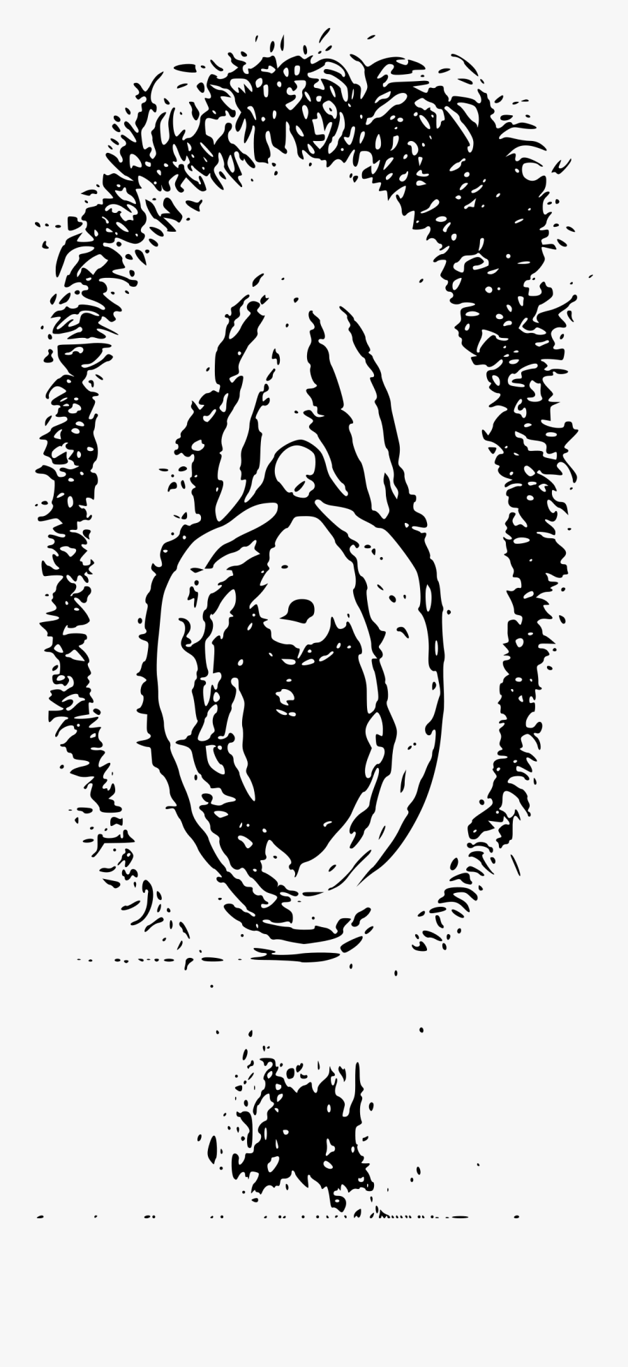 Vector Royalty Free Stock Vulva Drawing - Vulva En Png, Transparent Clipart