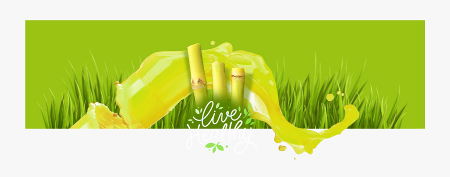 Transparent Sugarcane Png - Grass, Transparent Clipart