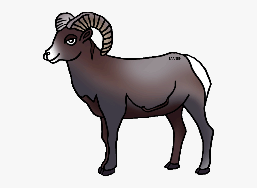 United States Clip Art By Phillip Martin, Colorado - Bighorn Sheep Clipart, Transparent Clipart