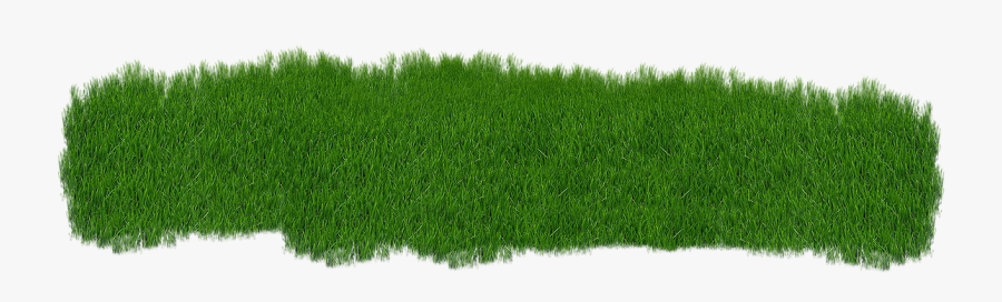 Grass, Green, Plant, Green Grass, Nature - Green Grass Hd Png, Transparent Clipart