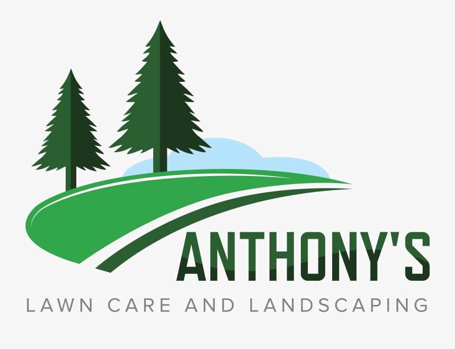 Anthony"s Lawn Care And Landscaping Logo Leaf Brand - Christmas Tree, Transparent Clipart