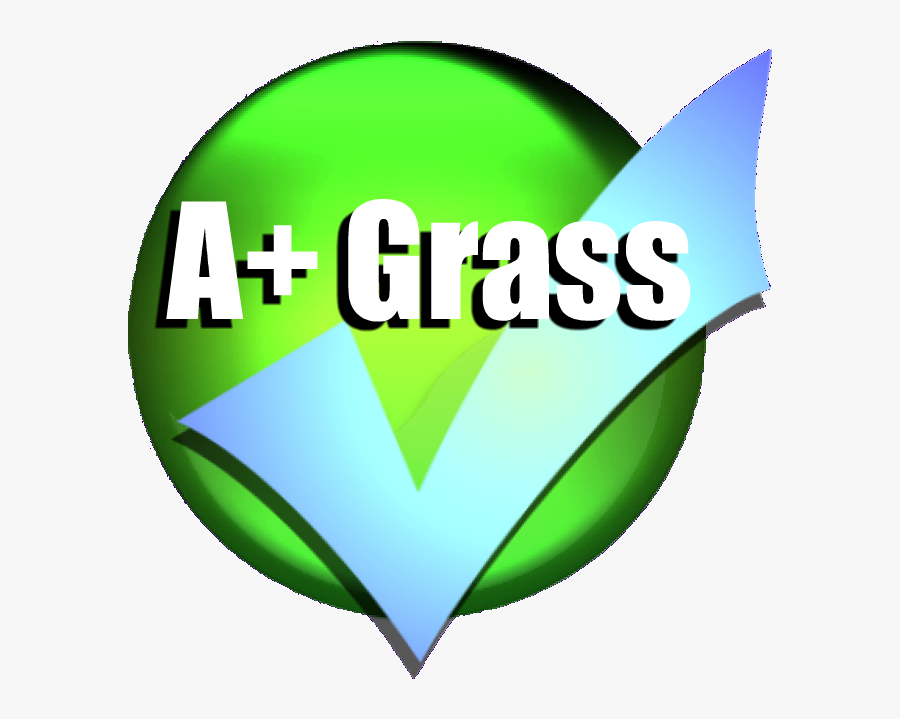 A Grass - Graphic Design, Transparent Clipart