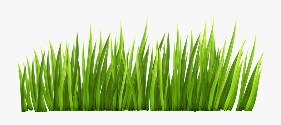 Grass Transparent Background Grass Png Images Download - Transparent Background Grass Clip Art, Transparent Clipart