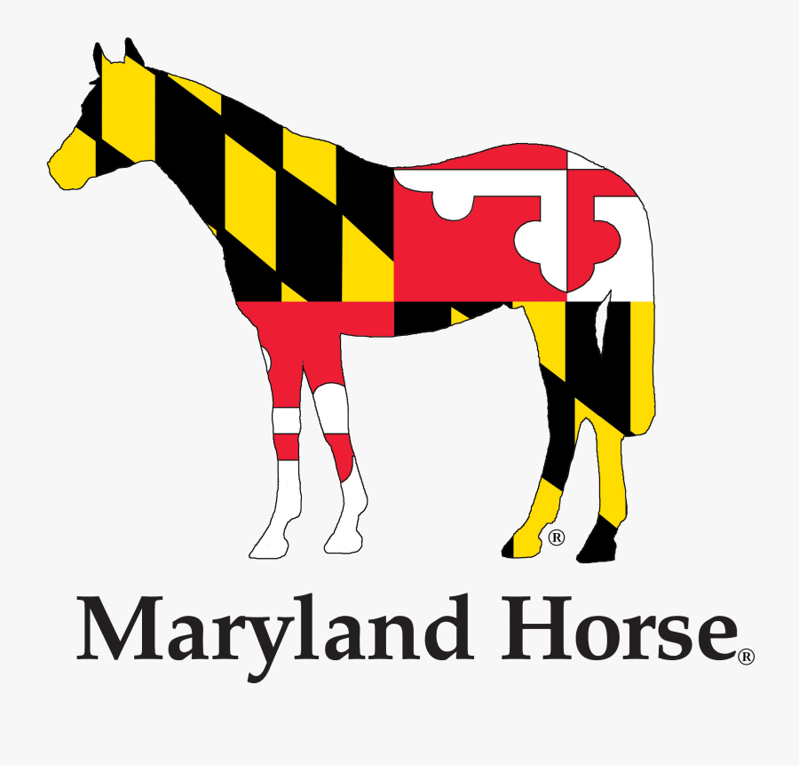 Celebrating Maryland"s Horse - Maryland Horse Logo, Transparent Clipart