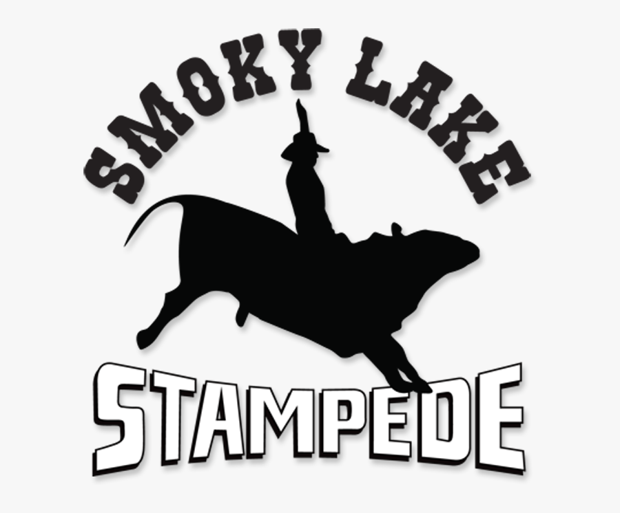 Ladies Barrel Racing Tie Down Roping Bareback Riding - Government Schemes For Girls, Transparent Clipart