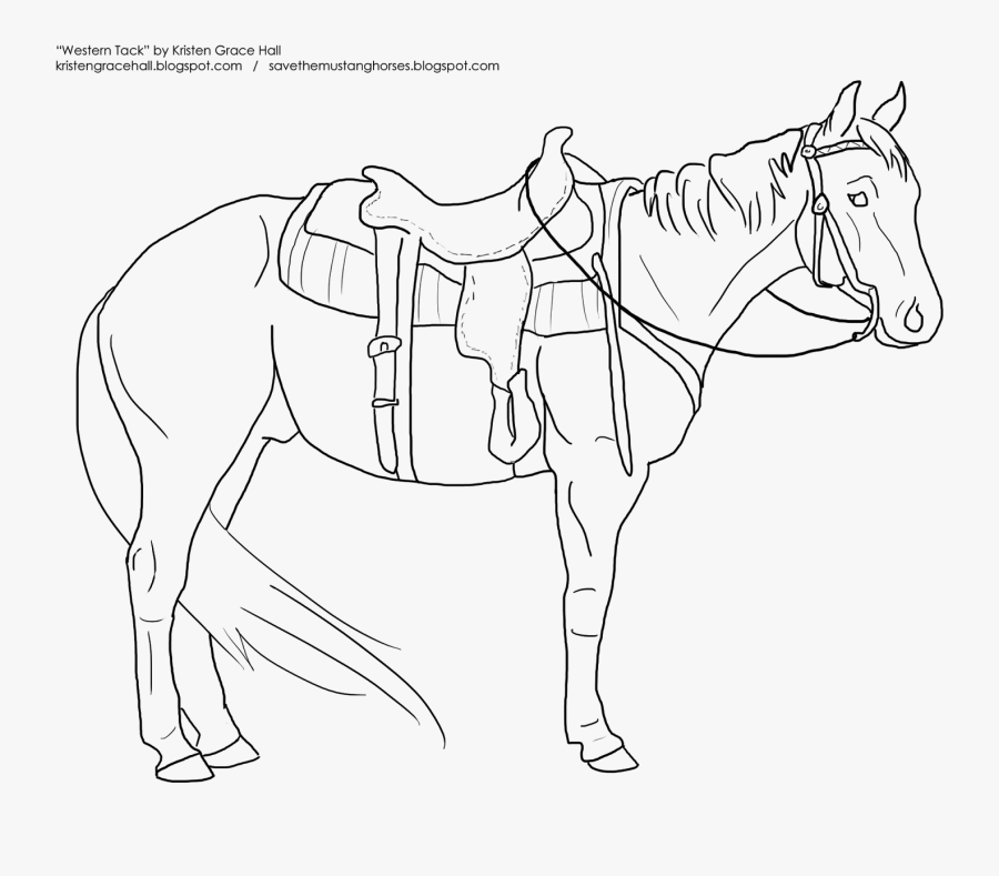 Draw A Western Horse, Transparent Clipart
