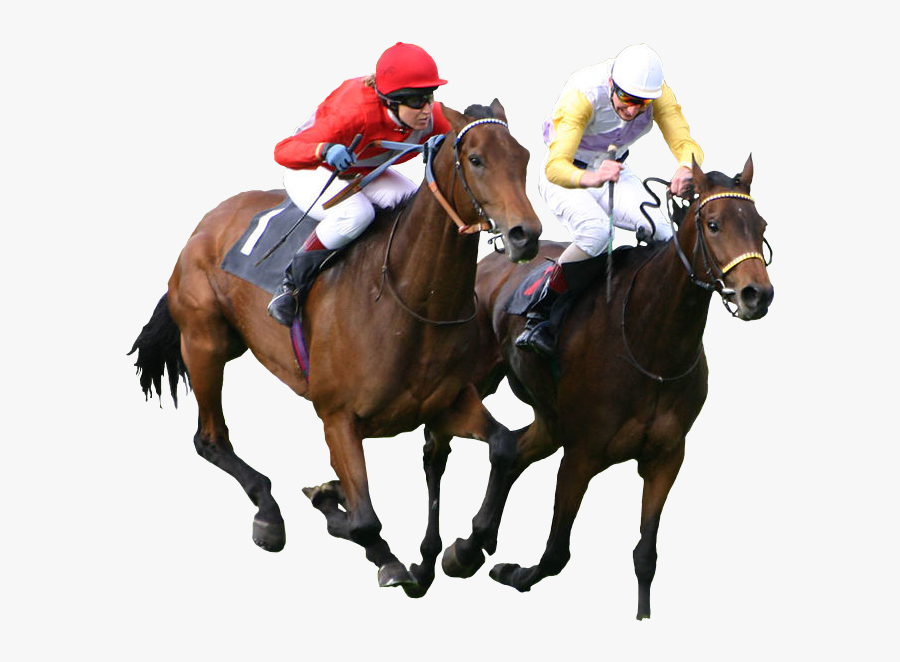 Transparent Horse Png - Horse Racing No Background, Transparent Clipart