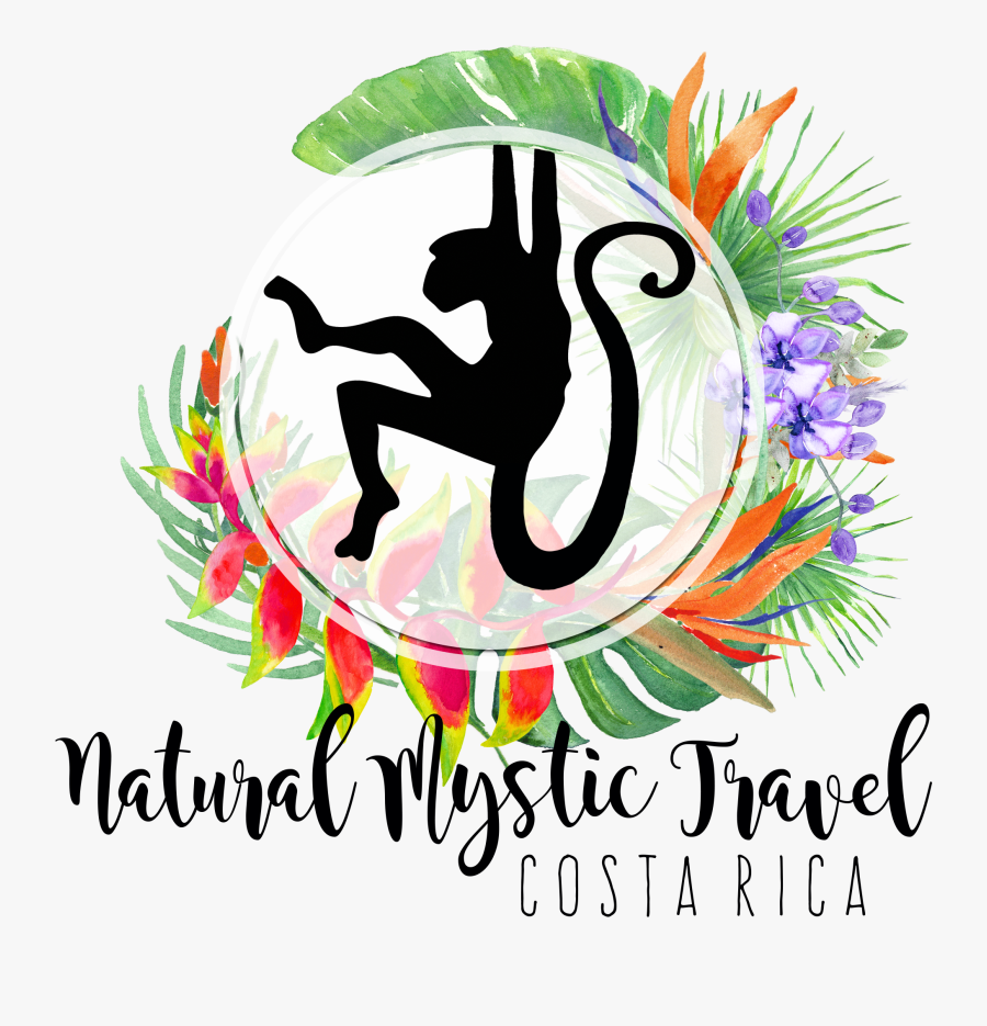 Clip Art Guanacaste Beaches Travel - Natural Mystic Logo, Transparent Clipart