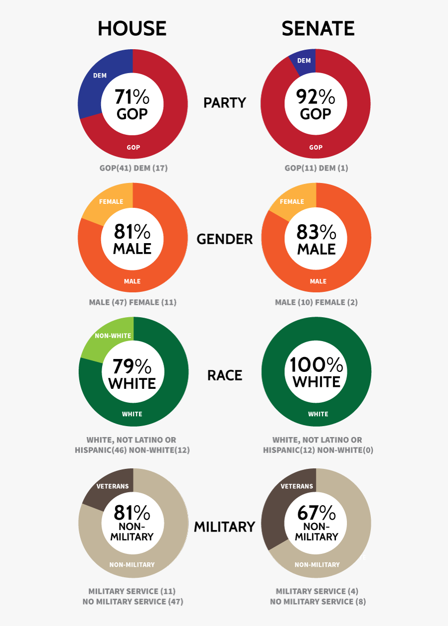 Clip Art Demographic Infographic - Demographics Of Congress 2017, Transparent Clipart