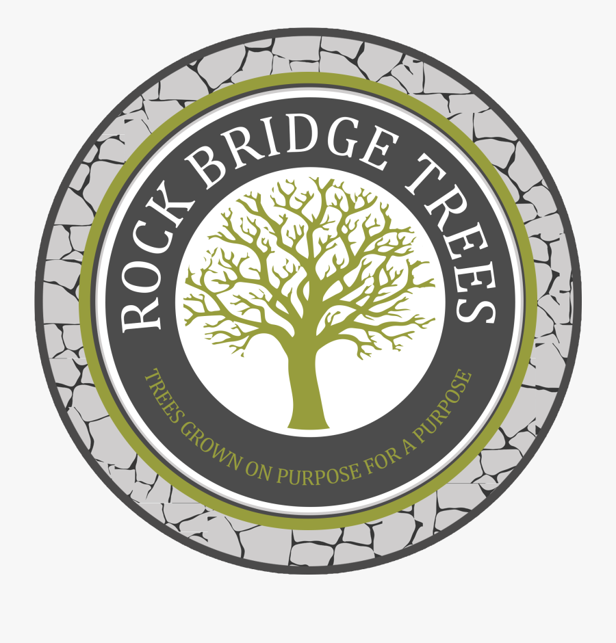 Icon, Transparent Clipart