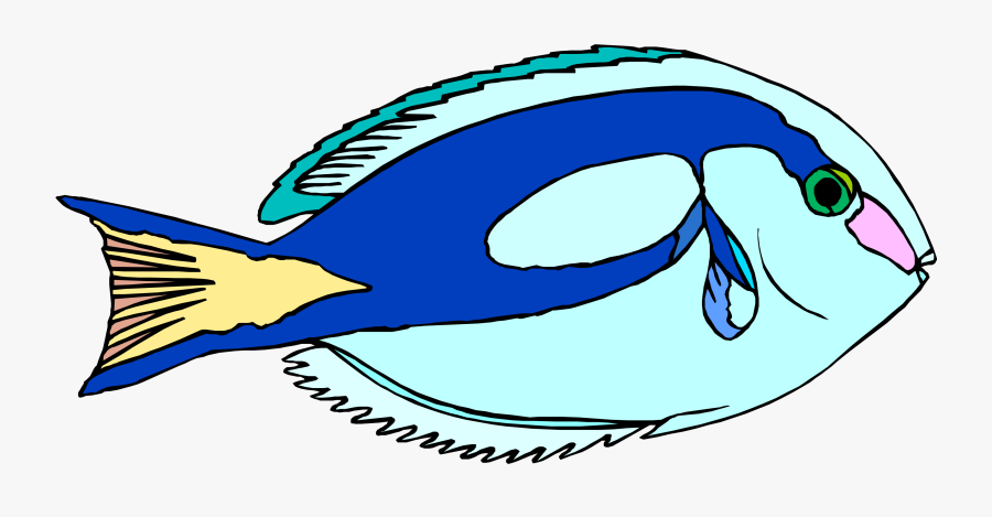 - ปลา น้ำ จืด การ์ตูน Png Clipart , Png Download - ปลา น้ำ จืด การ์ตูน, Transparent Clipart