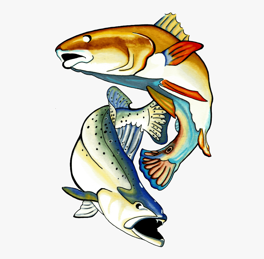 Charter Communications Clipart , Png Download - Eel, Transparent Clipart