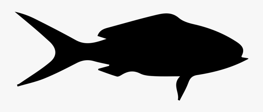 Fish Shape Clip Art Queen Snapper Hyporthodus Nigritus - Shape Of A Fish, Transparent Clipart