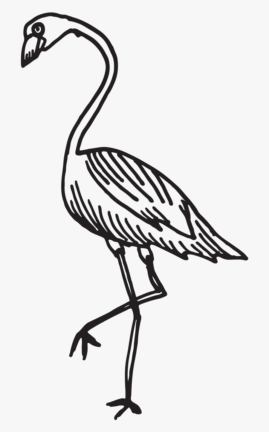 Beca Jon Redfish Grill Wedding Photography Miami Wedding - Goose, Transparent Clipart