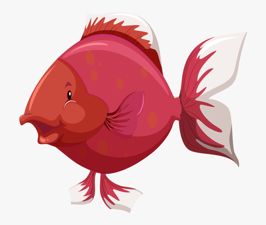 Fish Anatomy Clip Art - Parts Of The Body Of Fish, Transparent Clipart