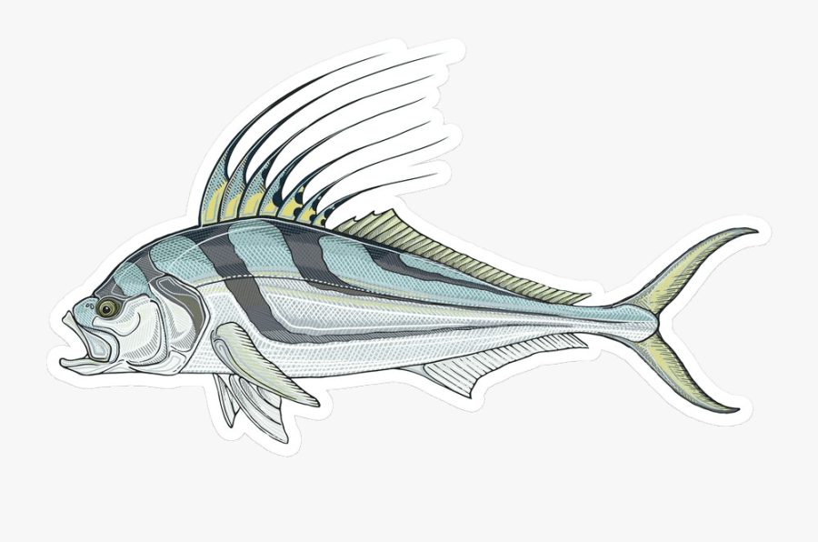 19 Tarpon Drawing Redfish Tail Huge Freebie Download - Roosterfish Sticker, Transparent Clipart