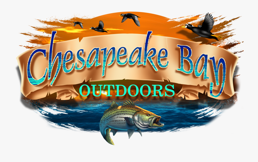 Transparent Chesapeake Bay Clipart - Bass, Transparent Clipart