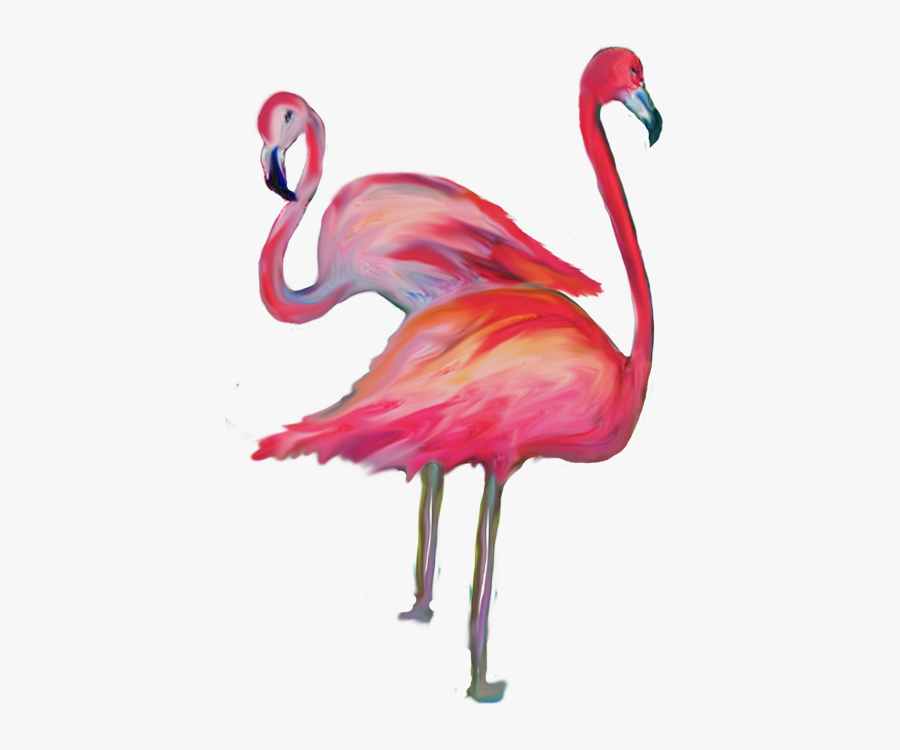 Greater Flamingo, Transparent Clipart