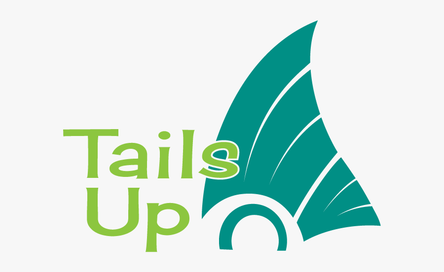 Graphic Design, Transparent Clipart