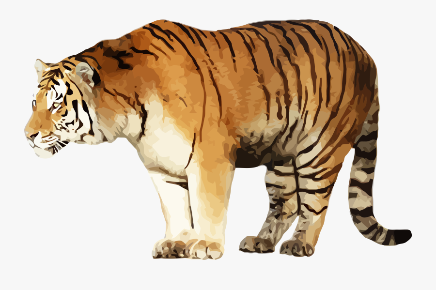 Transparent Daniel Tiger Clipart - Portable Network Graphics, Transparent Clipart