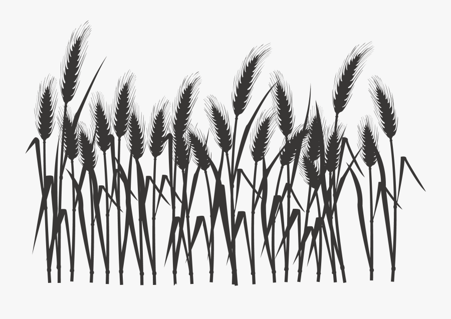 Silhouette Black And White - Wheat Field Clipart Black And White Png, Transparent Clipart