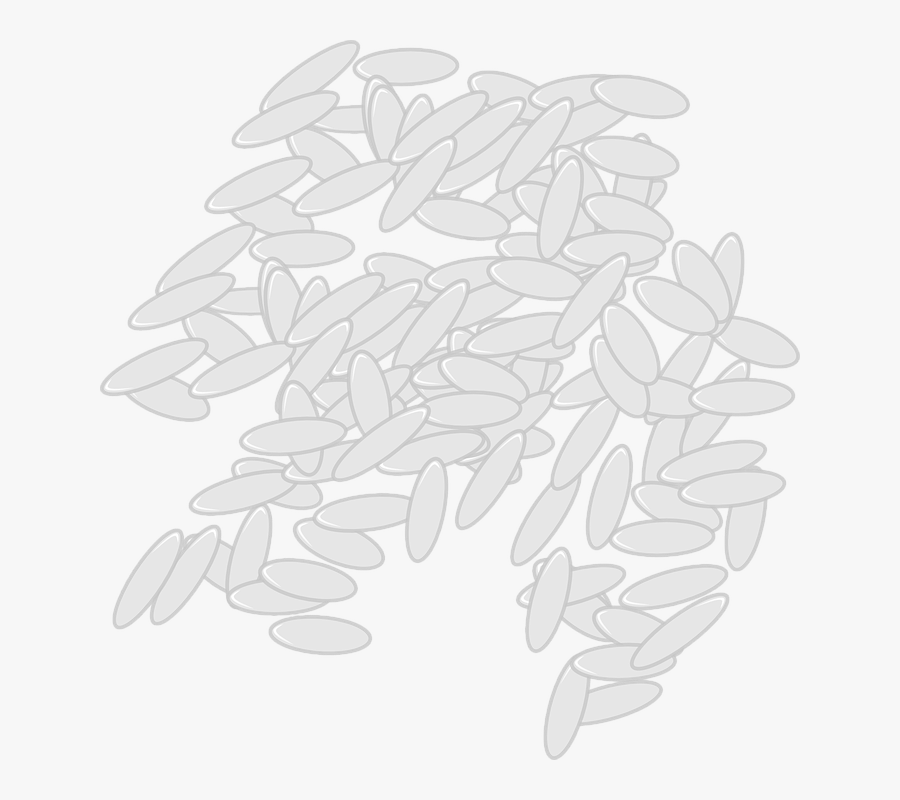 Rice Seeds Corn Grain Wheat Oats Agriculture - Rice Grains Black And White, Transparent Clipart