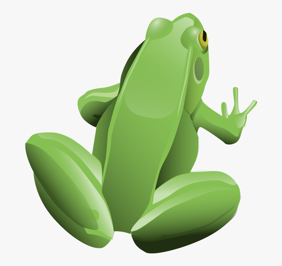Frog, Amphibian, Animal, Green, Tree Frog - Top Of A Cartoon Frog, Transparent Clipart