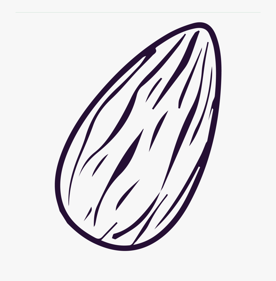 Almond Black And White Png , Free Transparent Clipart ClipartKey