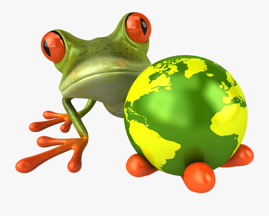 Orange Green Frog, Transparent Clipart