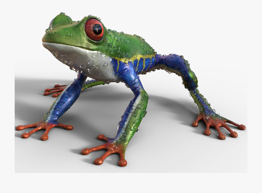 Transparent Frog Life Cycle Clipart - Exostic Frog, Transparent Clipart