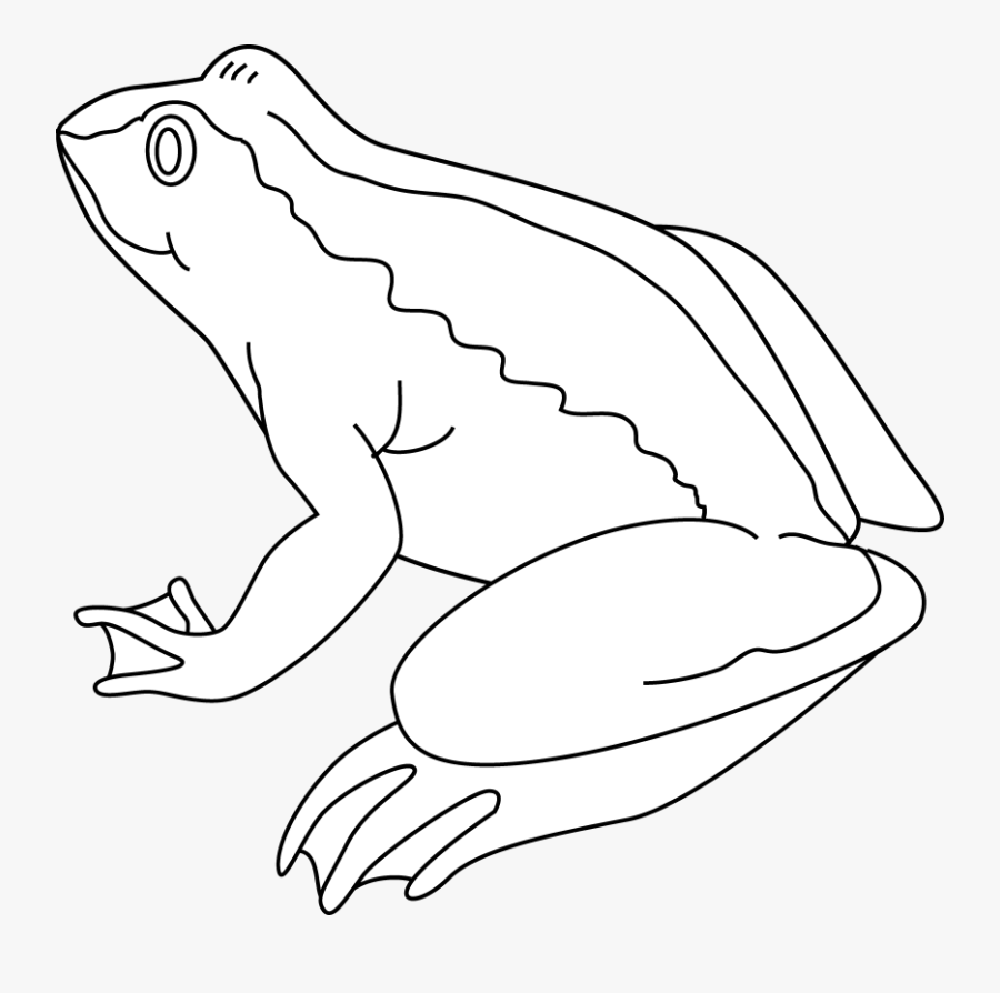 Frog Clip - Frog Black And White, Transparent Clipart