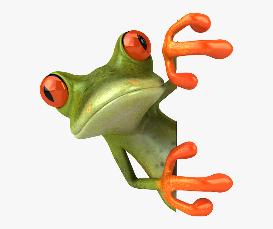 Red Eyed Tree Frog Png, Transparent Clipart