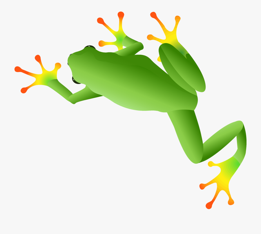 Welcome To The Frog Creek Brewing Wesbsite - Red-eyed Tree Frog, Transparent Clipart