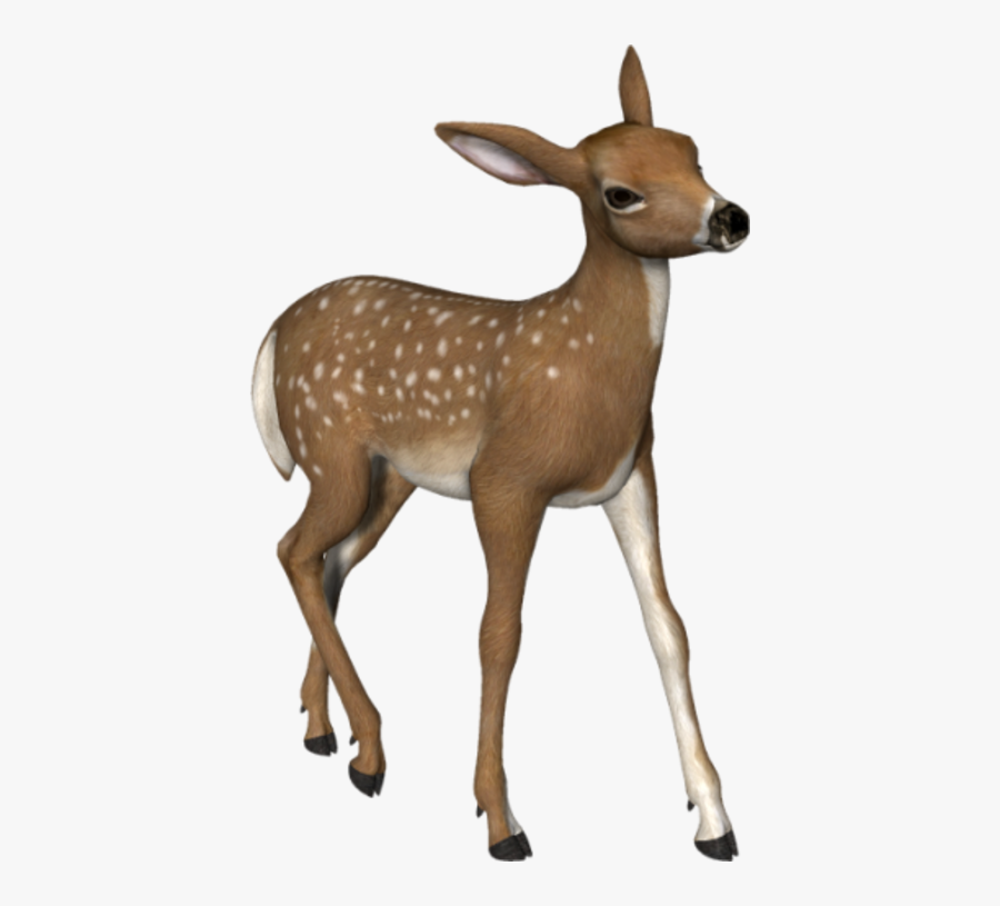 Deer Png Clipart, Transparent Clipart