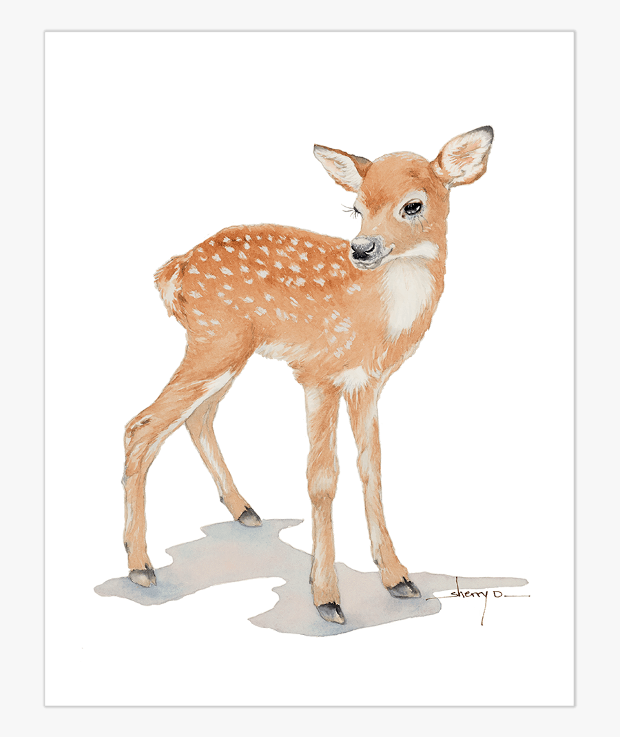Popular Baby Deer Wall Art - Fawn Baby Deer Watercolor, Transparent Clipart