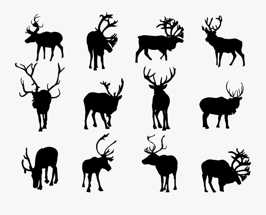 Reindeer Silhouette Clip Art - Silhouettes Of Tropical Rainforest Animals, Transparent Clipart