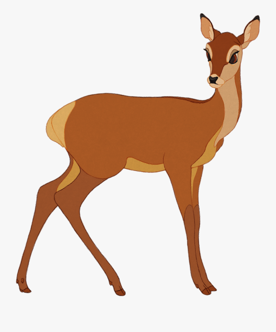 White-tailed Deer Musk Deers Antler Gazelle - Roe Deer, Transparent Clipart